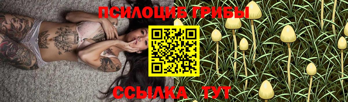 Галлюциногенные грибы Cubensis  цена   Симферополь 