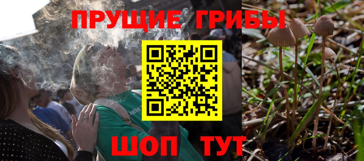 Галлюциногенные грибы мицелий  Псилоцибиновые грибы Psilocybe  Симферополь  хочу   Вход с VPN 